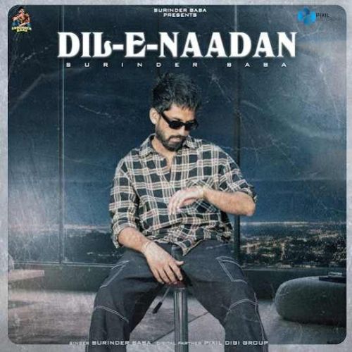 Dil E Nadaan Surinder Baba mp3 song download, Dil E Nadaan Surinder Baba full album