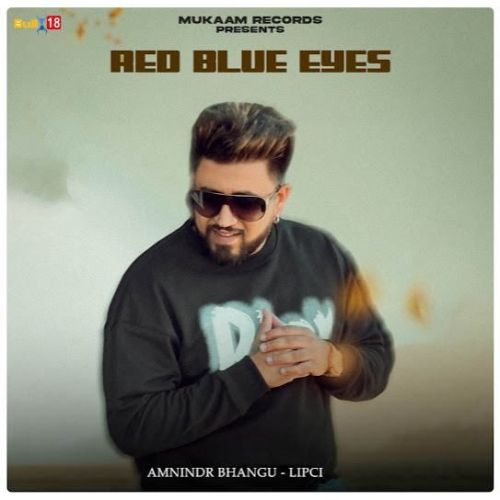 Red Blue Eyes Amnindr Bhangu mp3 song download, Red Blue Eyes Amnindr Bhangu full album