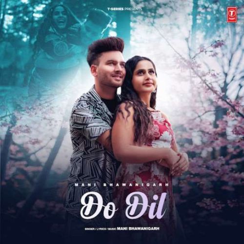 Do Dil Mani Bhawanigarh mp3 song download, Do Dil Mani Bhawanigarh full album