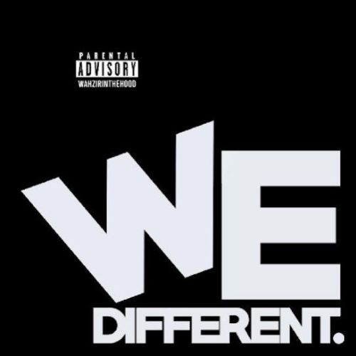 We Different Wazir Patar mp3 song download, We Different Wazir Patar full album