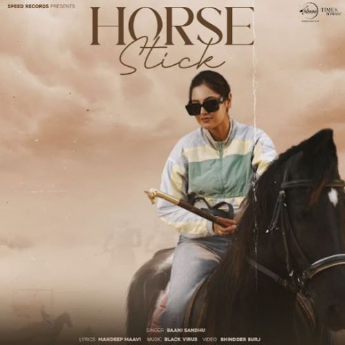 Horse Stick Baani Sandhu mp3 song download, Horse Stick Baani Sandhu full album