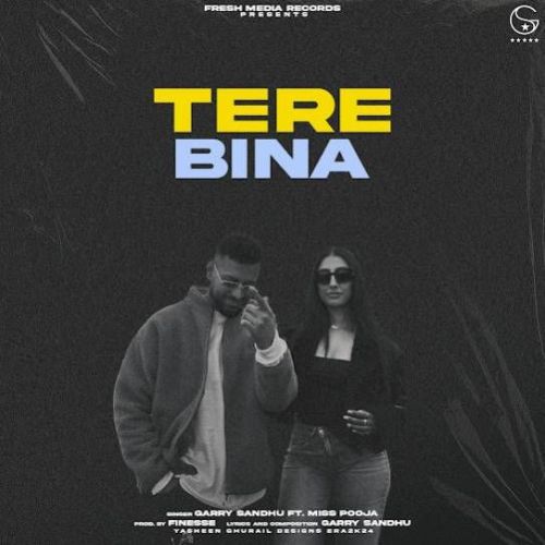 Tere Bina Garry Sandhu mp3 song download, Tere Bina Garry Sandhu full album