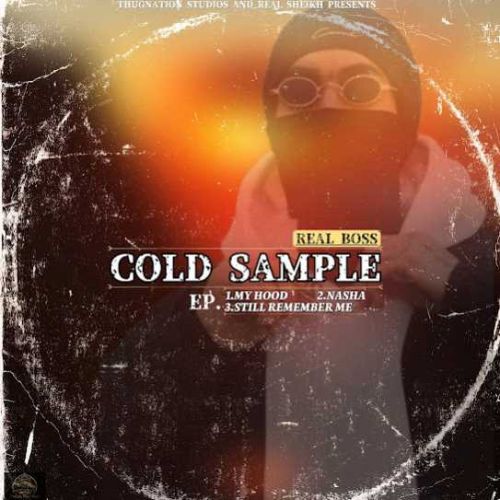 COLD SAMPLE By Real Boss full mp3 album