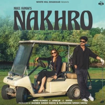 Nakhro Ndee Kundu mp3 song download, Nakhro Ndee Kundu full album