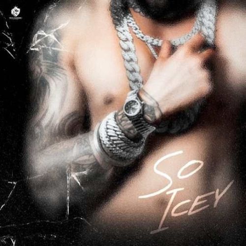 SO ICEY Te-G Sandhu mp3 song download, SO ICEY Te-G Sandhu full album