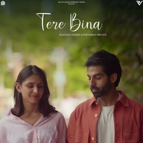 Tere Bina Sukhan Verma mp3 song download, Tere Bina Sukhan Verma full album