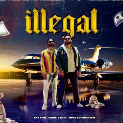 Illegal Tayyab Amin Teja mp3 song download, Illegal Tayyab Amin Teja full album