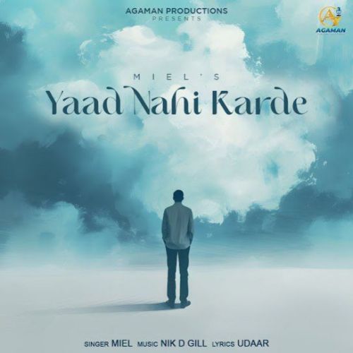 Yaad Nahi Karde Miel mp3 song download, Yaad Nahi Karde Miel full album