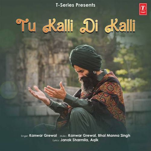 Parde Kanwar Grewal mp3 song download, Tu Kalli Di Kalli Kanwar Grewal full album