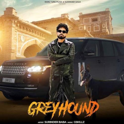 Greyhound Surinder Baba mp3 song download, Greyhound Surinder Baba full album