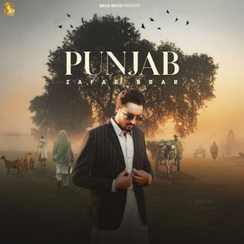 Punjab Zafar Brar mp3 song download, Punjab Zafar Brar full album