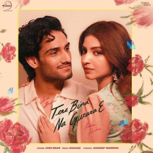 Tere Bina Na Guzara E Josh Brar mp3 song download, Tere Bina Na Guzara E Josh Brar full album