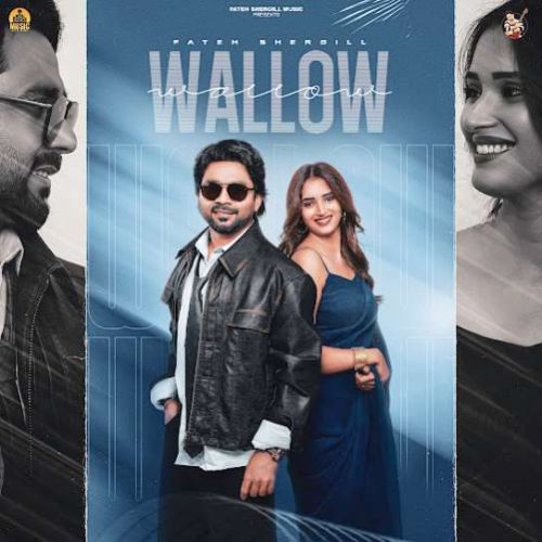 Wallow Fateh Shergill mp3 song download, Wallow Fateh Shergill full album