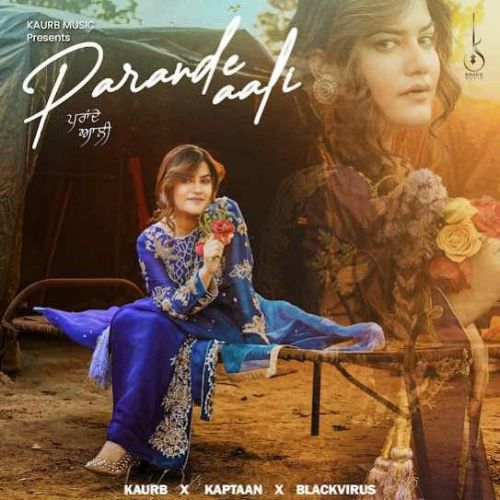 Parande Aali Kaur B mp3 song download, Parande Aali Kaur B full album