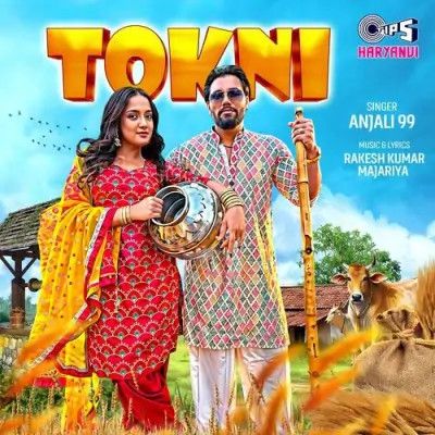 Tokni Anjali 99 mp3 song download, Tokni Anjali 99 full album