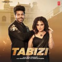 Tabizi Shiva Choudhary mp3 song download, Tabizi Shiva Choudhary full album