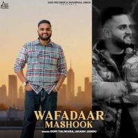 Wafadaar Mashook Gopi Talwara mp3 song download, Wafadaar Mashook Gopi Talwara full album