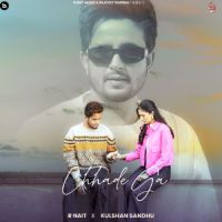 Chhade Ga R. Nait mp3 song download, Chhade Ga R. Nait full album