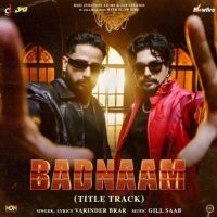 Badnaam Varinder Brar mp3 song download, Badnaam Varinder Brar full album