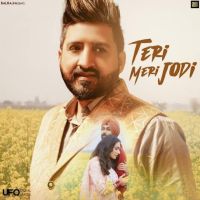 Teri Meri Jodi Balraj mp3 song download, Teri Meri Jodi Balraj full album