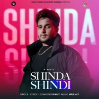 Shinda Shindi R. Nait mp3 song download, Shinda Shindi R. Nait full album