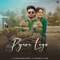 Pyara Lage Shiva Choudhary mp3 song download, Pyara Lage Shiva Choudhary full album