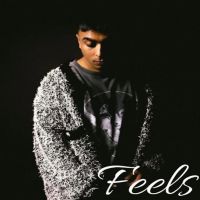 Feels Gurinder Gill mp3 song download, Feels Gurinder Gill full album