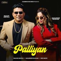 Palliyan Balkar Ankhila mp3 song download, Palliyan Balkar Ankhila full album