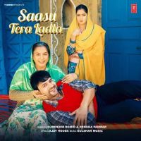 Saasu Tera Ladla Surender Romio, Renuka Panwar mp3 song download, Saasu Tera Ladla Surender Romio, Renuka Panwar full album