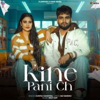 Kine Pani Ch Guntaj Dandiwal mp3 song download, Kine Pani Ch Guntaj Dandiwal full album