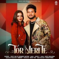 Tor Meri Te Vicky Gill mp3 song download, Tor Meri Te Vicky Gill full album