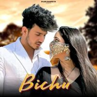 Bichu Diler Kharkiya, Shiva Choudhary mp3 song download, Cycle Puncture Diler Kharkiya, Shiva Choudhary full album