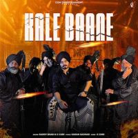 Kale Baane Karry Brar mp3 song download, Kale Baane Karry Brar full album