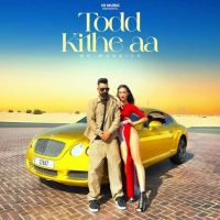Todd Kithe Aa Mr Waraich mp3 song download, Todd Kithe Aa Mr Waraich full album