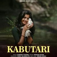 Kabutari Sandeep Chandel mp3 song download, Kabutari Sandeep Chandel full album