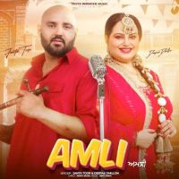 Amli Janta Toor mp3 song download, Amli Janta Toor full album