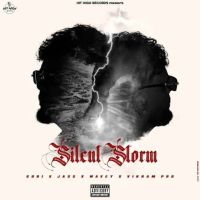 The Way She Shines gURi mp3 song download, The Way She Shines gURi full album