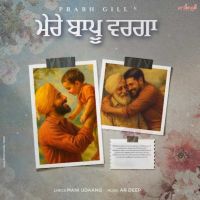 Mere Baapu Warga Prabh Gill mp3 song download, Mere Baapu Warga Prabh Gill full album