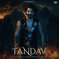 Tandav Gulzaar Chhaniwala mp3 song download, Tandav Gulzaar Chhaniwala full album