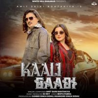 Kaali Gaadi Amit Saini Rohtakiya mp3 song download, Kaali Gaadi Amit Saini Rohtakiya full album