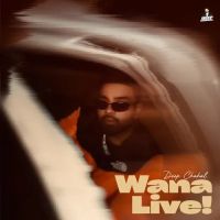 Wana Live Deep Chahal mp3 song download, Wana Live Deep Chahal full album
