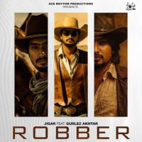 Robber Jigar mp3 song download, Robber Jigar full album