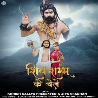 Shiv Shambhu Ke Chele Vikas Kumar, Ashu Twinkle mp3 song download, Shiv Shambhu Ke Chele Vikas Kumar, Ashu Twinkle full album