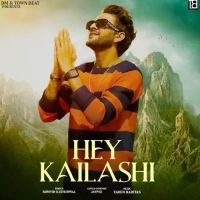 Hey Kailashi Somvir Kathurwal mp3 song download, Hey Kailashi Somvir Kathurwal full album