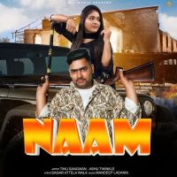 Naam Ashu Twinkle mp3 song download, Naam Ashu Twinkle full album