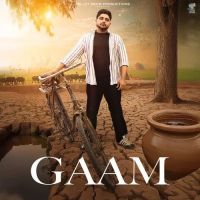 Gaam Bintu Pabra mp3 song download, Gaam Bintu Pabra full album