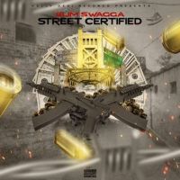 Shikari Slim Swagga mp3 song download, Shikari Slim Swagga full album
