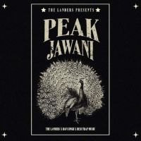 Peak Jawani The Landers mp3 song download, Peak Jawani The Landers full album