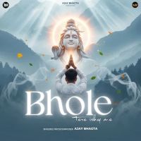 Bhole Tere Ishq Me Ajay Bhagta mp3 song download, Bhole Tere Ishq Me Ajay Bhagta full album