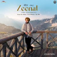 Zeenat (The Adornment) Satinder Sartaaj mp3 song download, Zeenat (The Adornment) Satinder Sartaaj full album